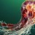 Une méduse avec des tentacules de 37 mètres de long a été découverte en 1870