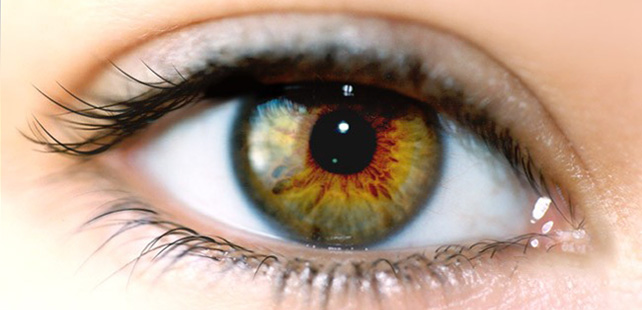 La pupille de l'œil se dilate jusqu'à 45% quand vous regardez quelqu'un que vous aimez !