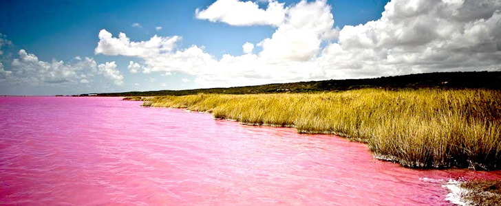 Le saviez-vous ? Il existe un lac rose en Australie et personne ne sait d’où provient sa couleur ! Lac-hillier
