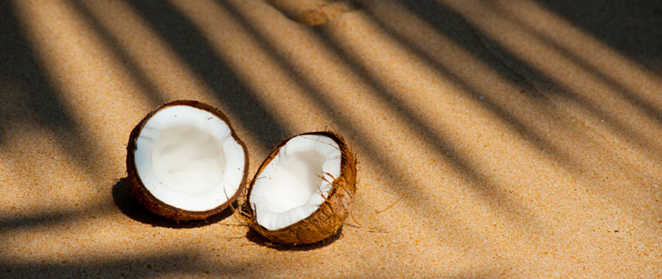 Le Sri Lanka a un ministère du développement de la noix de coco !