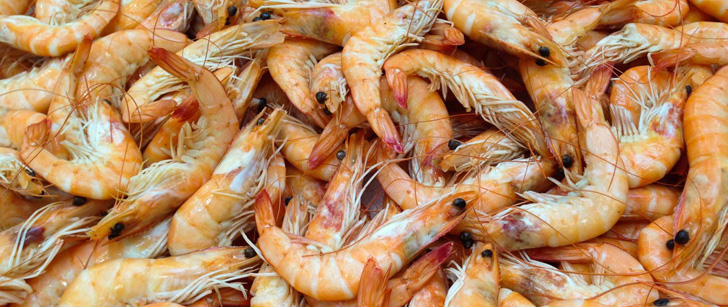 Des chercheurs égyptiens ont transformé les carapaces de crevettes en plastique biodégradable !