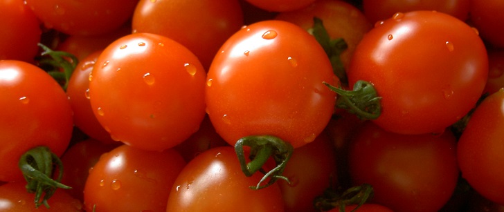 Le saviez-vous ? Les tomates ont plus de gènes que les humains ! Tomates-genes