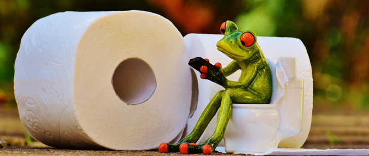 Qu’utilisaient les gens avant l’invention du papier hygiénique ? Papier-toilette